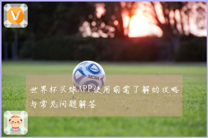 世界杯买球APP使用前需了解的攻略与常见问题解答
