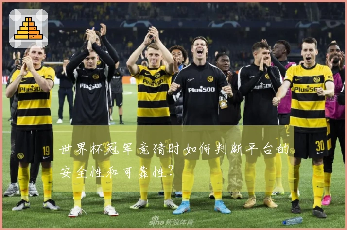 世界杯冠军竞猜时如何判断平台的安全性和可靠性？