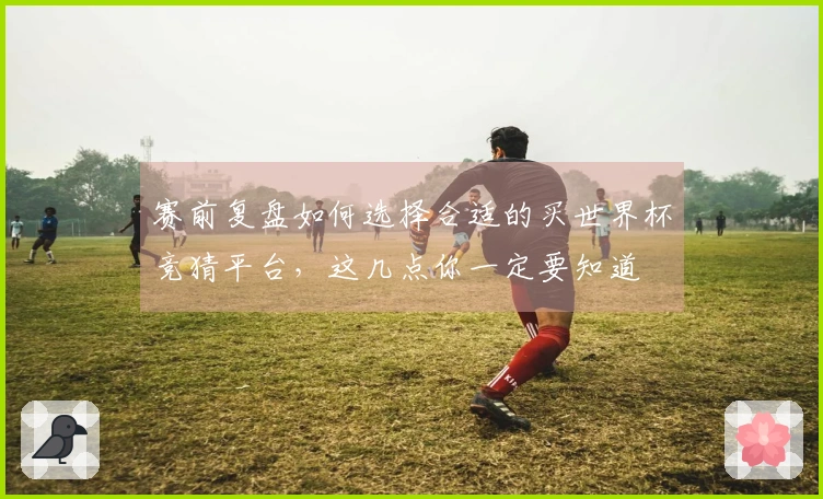 赛前复盘如何选择合适的买世界杯竞猜平台，这几点你一定要知道