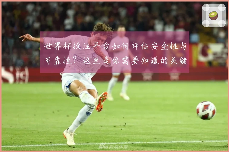 世界杯投注平台如何评估安全性与可靠性？这里是你需要知道的关键点