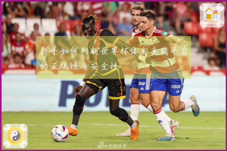 新手如何判断世界杯体彩竞猜平台的正规性与安全性