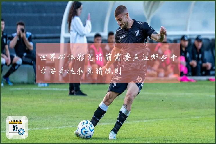 世界杯体彩竞猜前需要关注哪些平台安全性和竞猜规则