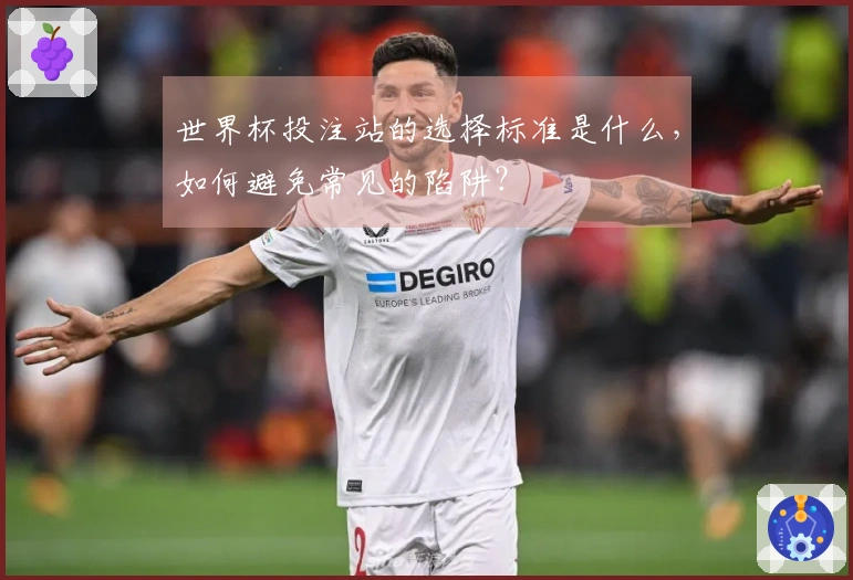 世界杯投注站的选择标准是什么，如何避免常见的陷阱？