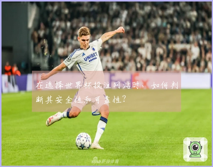在选择世界杯投注网站时，如何判断其安全性和可靠性？