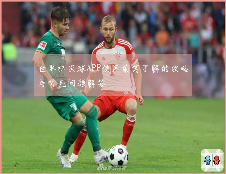 世界杯买球APP使用前需了解的攻略与常见问题解答
