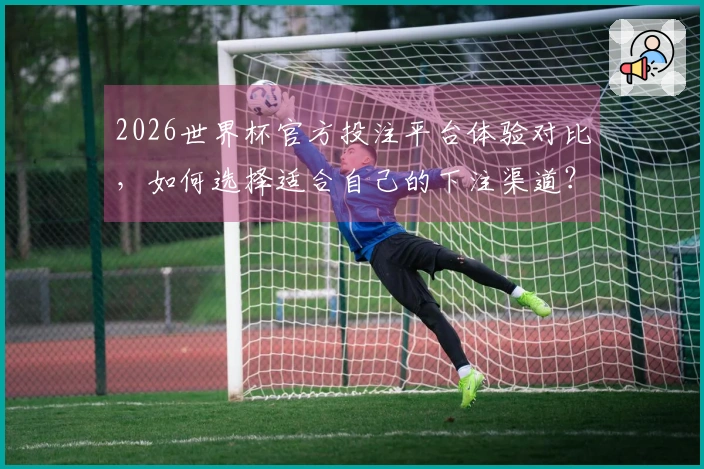 2026世界杯官方投注平台体验对比，如何选择适合自己的下注渠道？