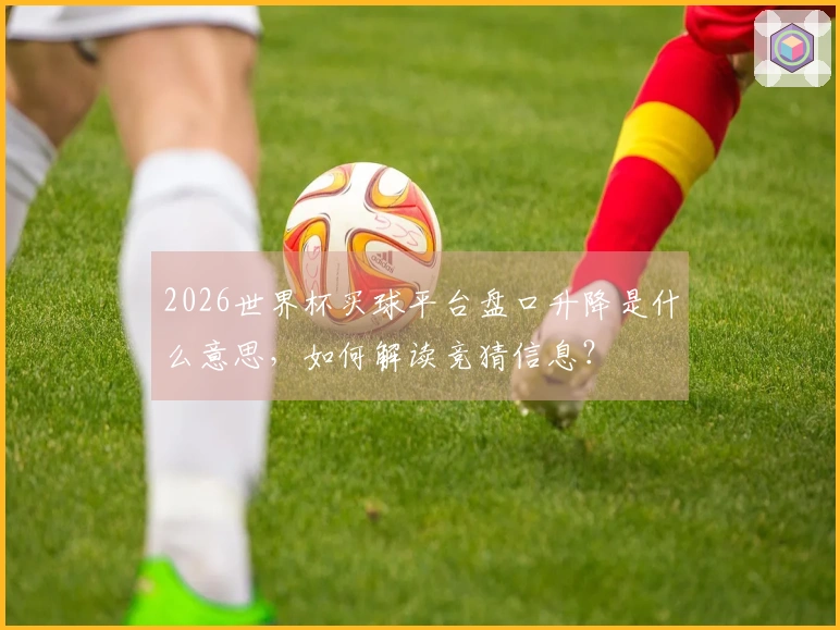 2026世界杯买球平台盘口升降是什么意思,如何解读竞猜信息?