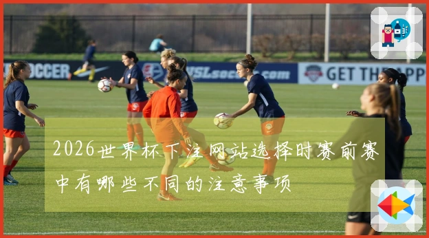 2026世界杯下注网站选择时赛前赛中有哪些不同的注意事项