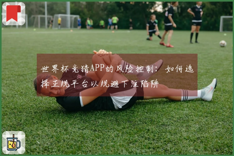 世界杯竞猜APP的风险控制:如何选择正规平台以规避下注陷阱
