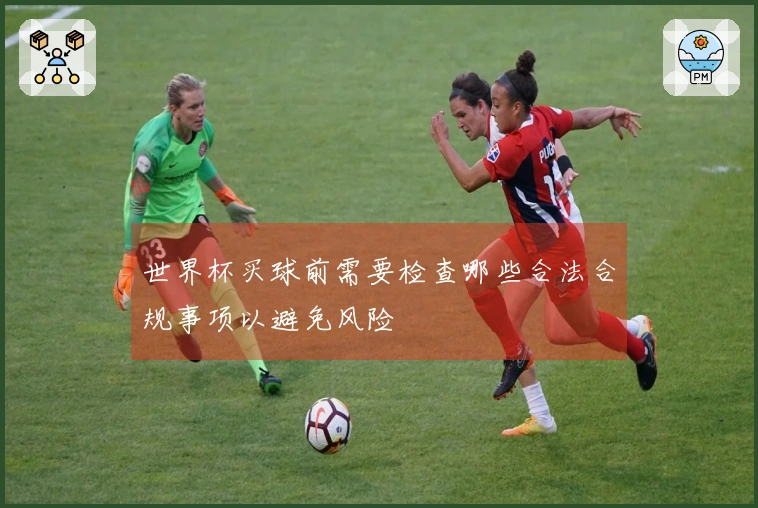世界杯买球前需要检查哪些合法合规事项以避免风险