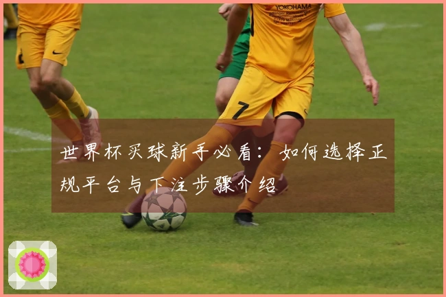 世界杯买球新手必看：如何选择正规平台与下注步骤介绍