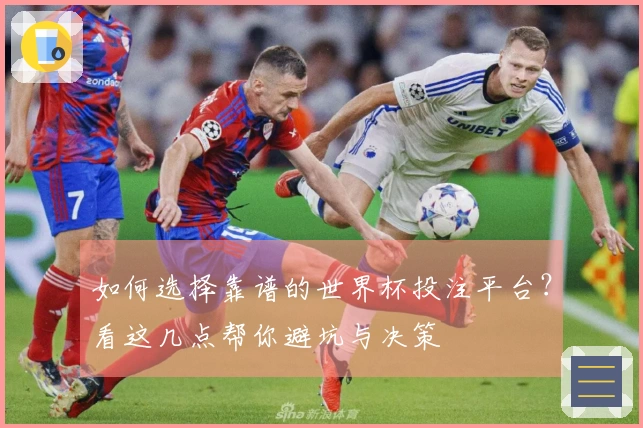 如何选择靠谱的世界杯投注平台？看这几点帮你避坑与决策