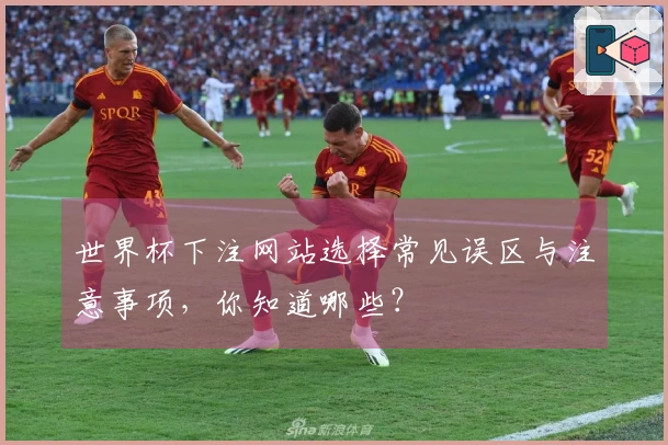 世界杯下注网站选择常见误区与注意事项，你知道哪些？