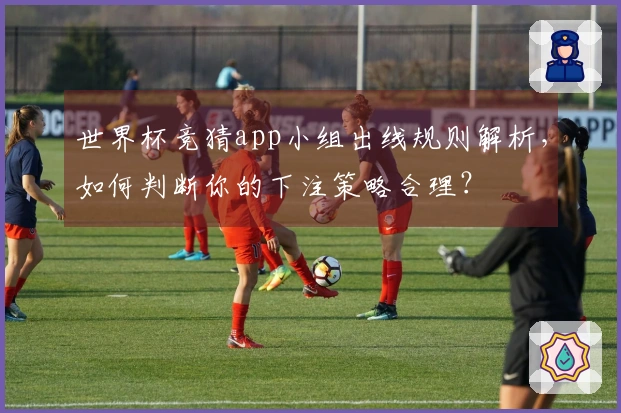世界杯竞猜app小组出线规则解析，如何判断你的下注策略合理？
