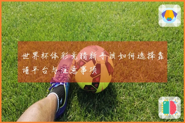 世界杯体彩竞猜新手该如何选择靠谱平台与注意事项
