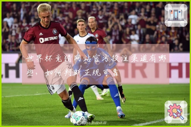 世界杯竞猜网站官方投注渠道有哪些，如何判断正规可靠