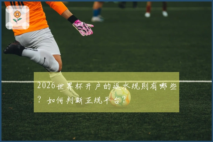 2026世界杯开户的返水规则有哪些？如何判断正规平台？