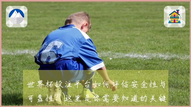 世界杯投注平台如何评估安全性与可靠性?这里是你需要知道的关键点