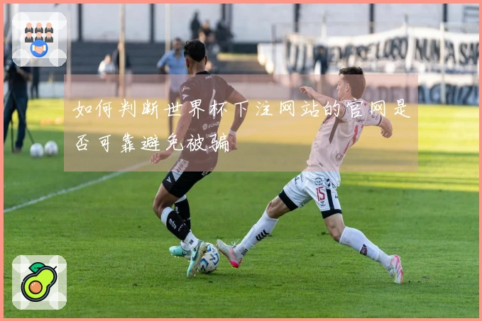 如何判断世界杯下注网站的官网是否可靠避免被骗