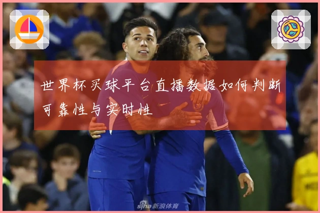 世界杯买球平台直播数据如何判断可靠性与实时性