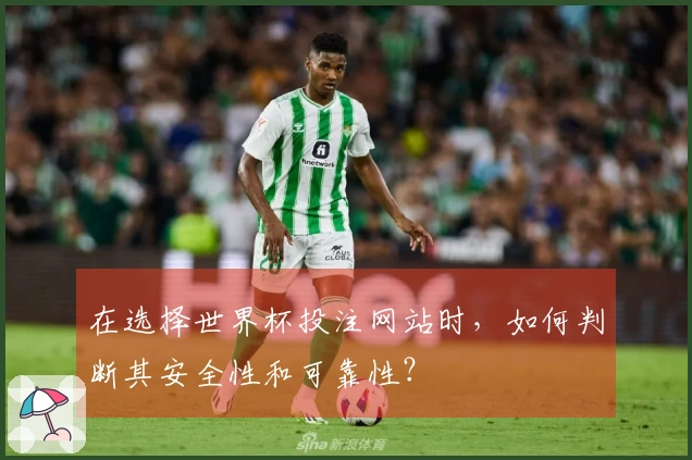 在选择世界杯投注网站时，如何判断其安全性和可靠性？