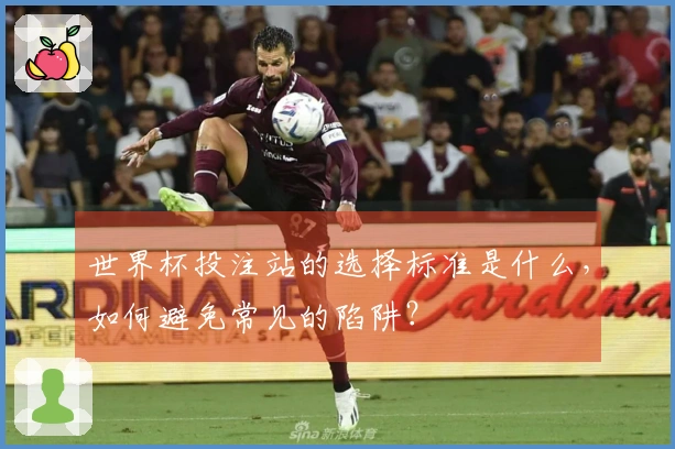 世界杯投注站的选择标准是什么，如何避免常见的陷阱？