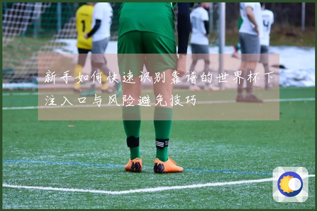 新手如何快速识别靠谱的世界杯下注入口与风险避免技巧