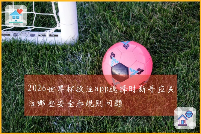 2026世界杯投注app选择时新手应关注哪些安全和规则问题